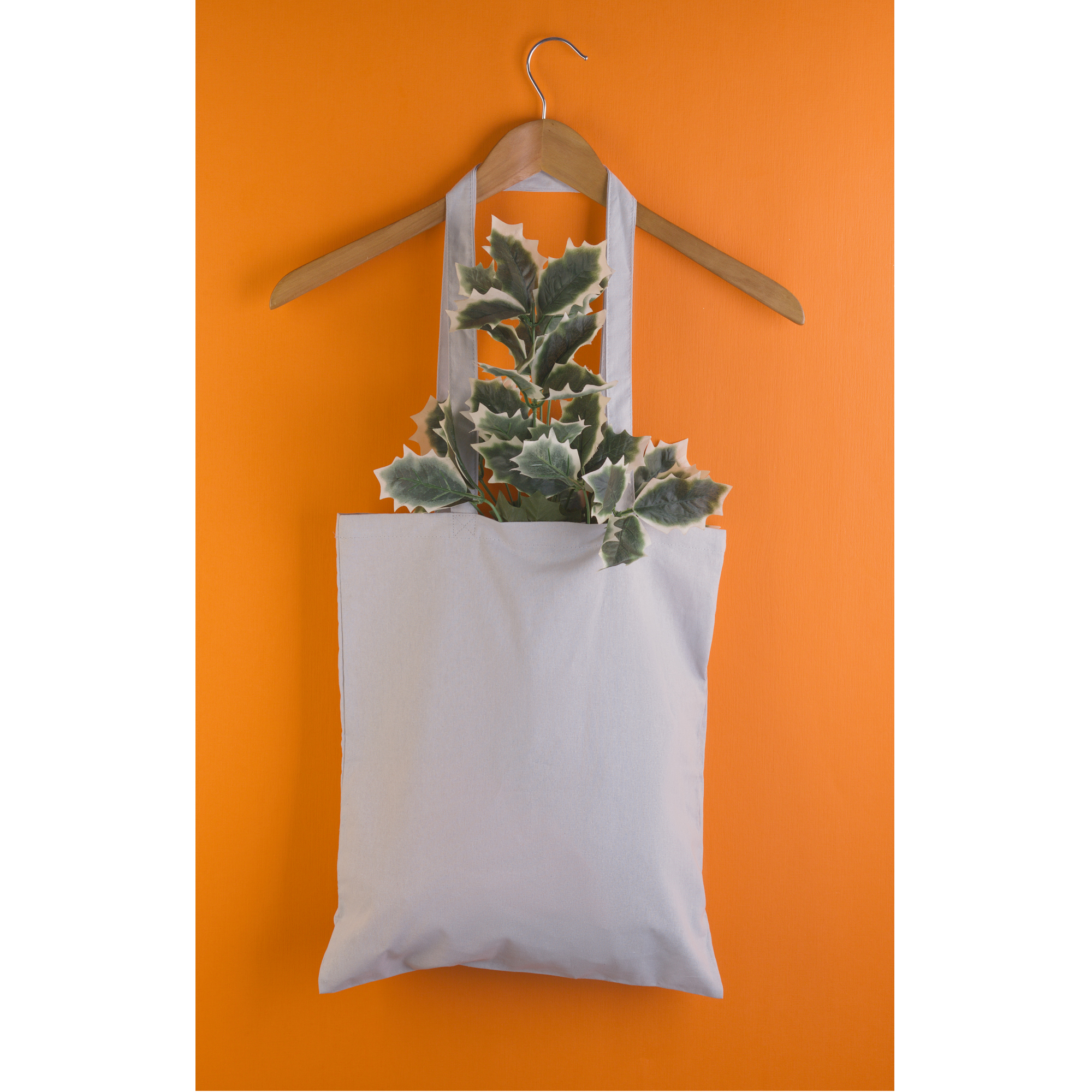 Сумка для покупок "Эко+"