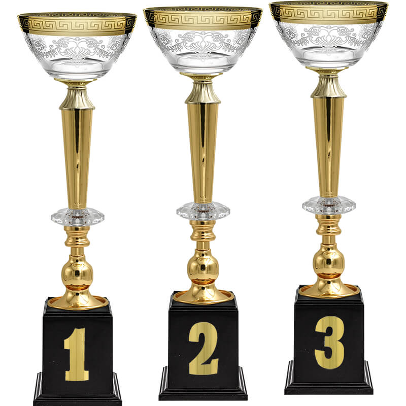 Кубок Эллея 3 место