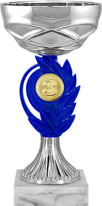 Кубок 3 место