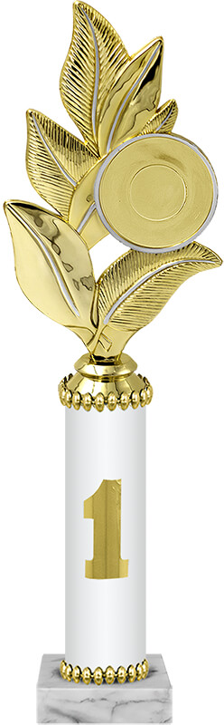 Награда 1 место