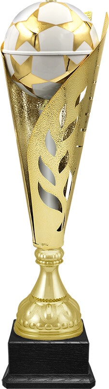 Кубок Сокол