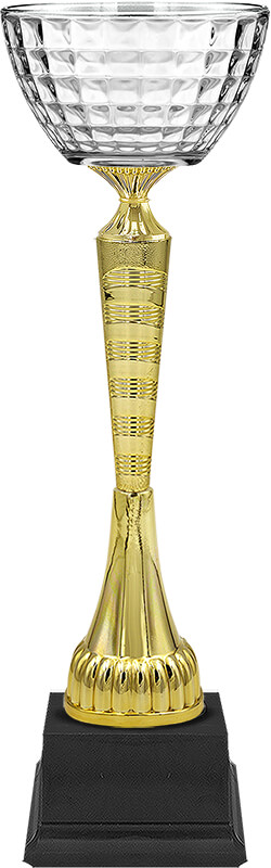 Кубок Мануэла (под золото)