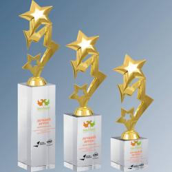 Награда Звезды с цветной печатью Награда Звезды с цветной печатью