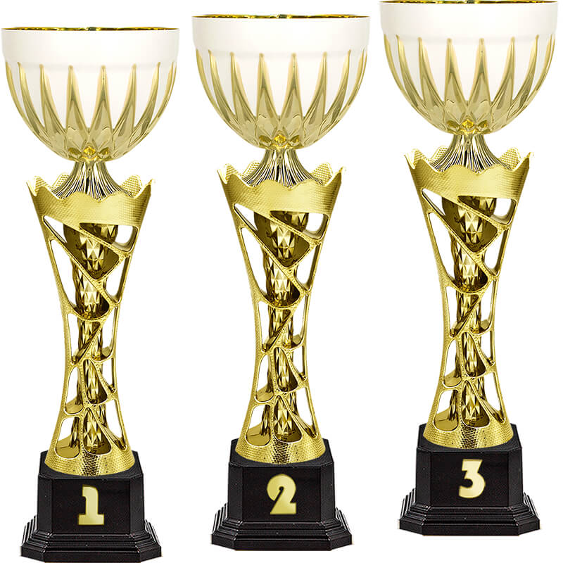 Кубок Арамис 2 место