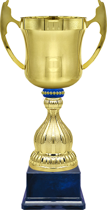 Кубок Миклухо