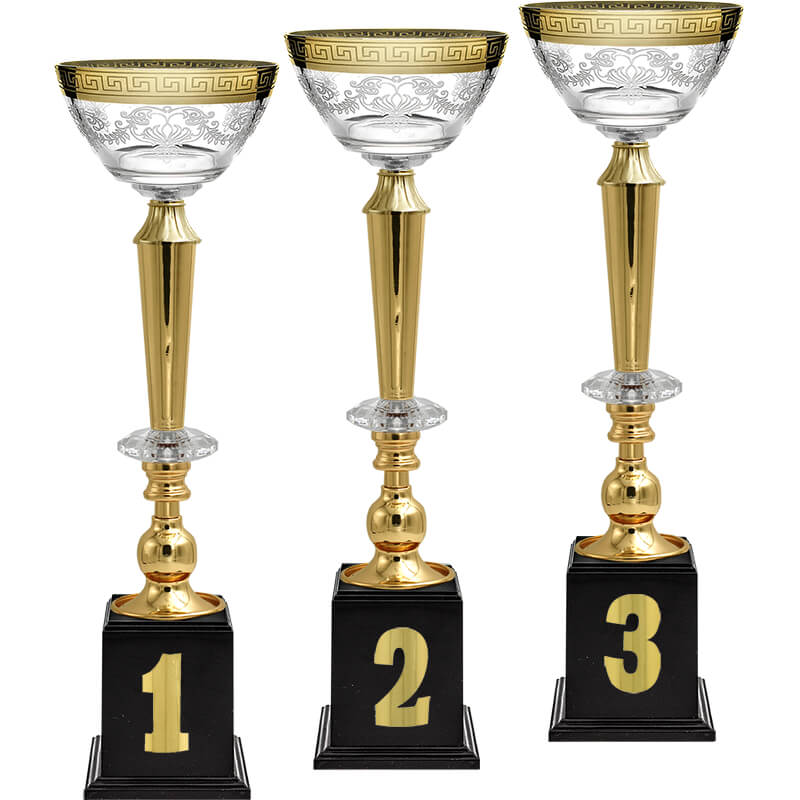 Кубок Эллея 1 место