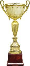 Кубок Рамиль Кубок Рамиль
