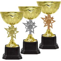 Кубок Айли (под бронзу)