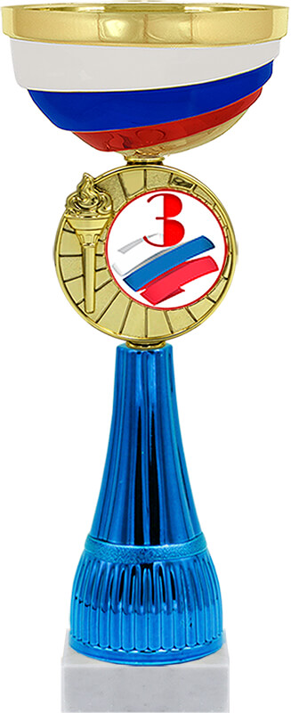 Кубок Чапай 3 место (синий)