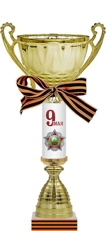 Кубок Владимир, 9 Мая