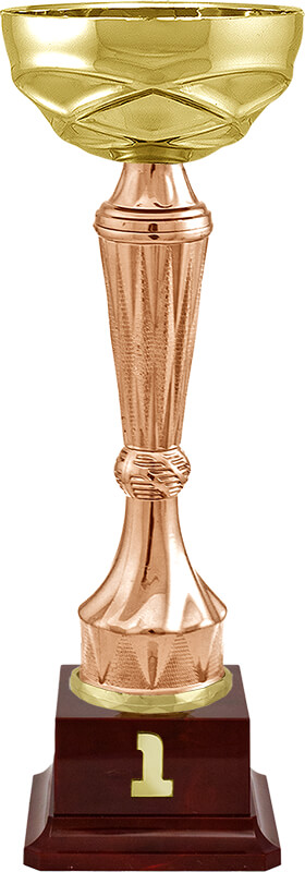 Кубок Спарт 1 место