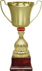 Кубок Миклухо Кубок Миклухо