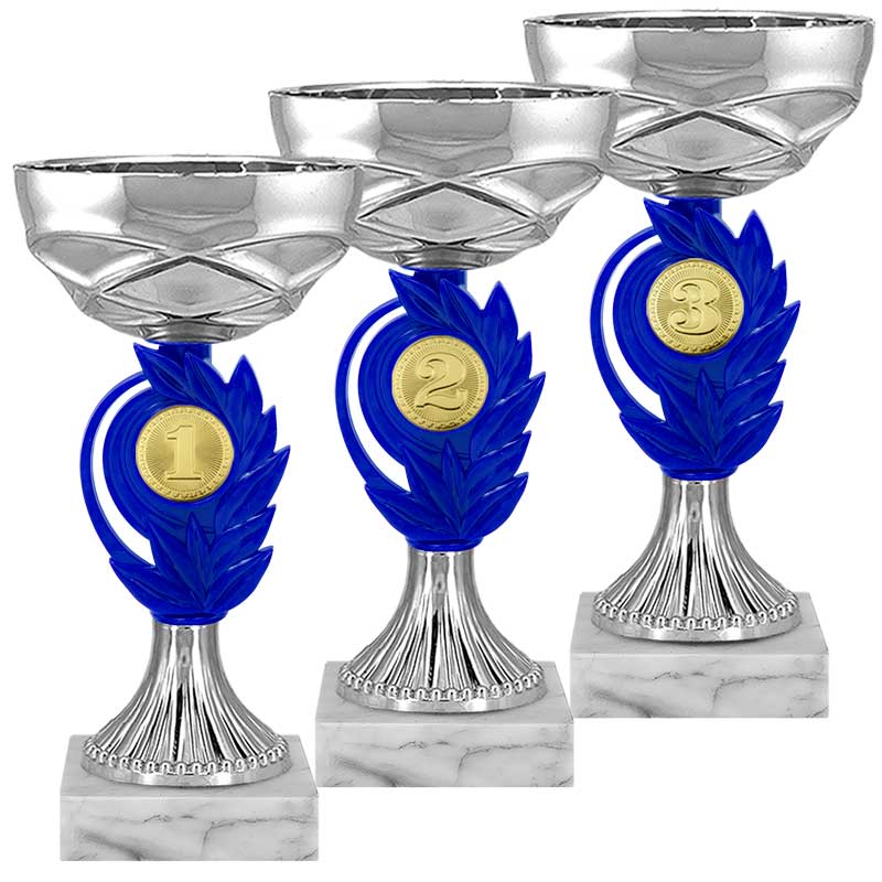 Кубок 3 место