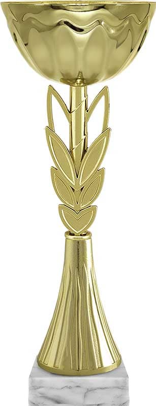 Кубок Ферзь