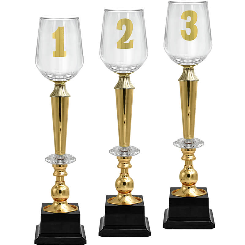 Кубок Агния 2 место