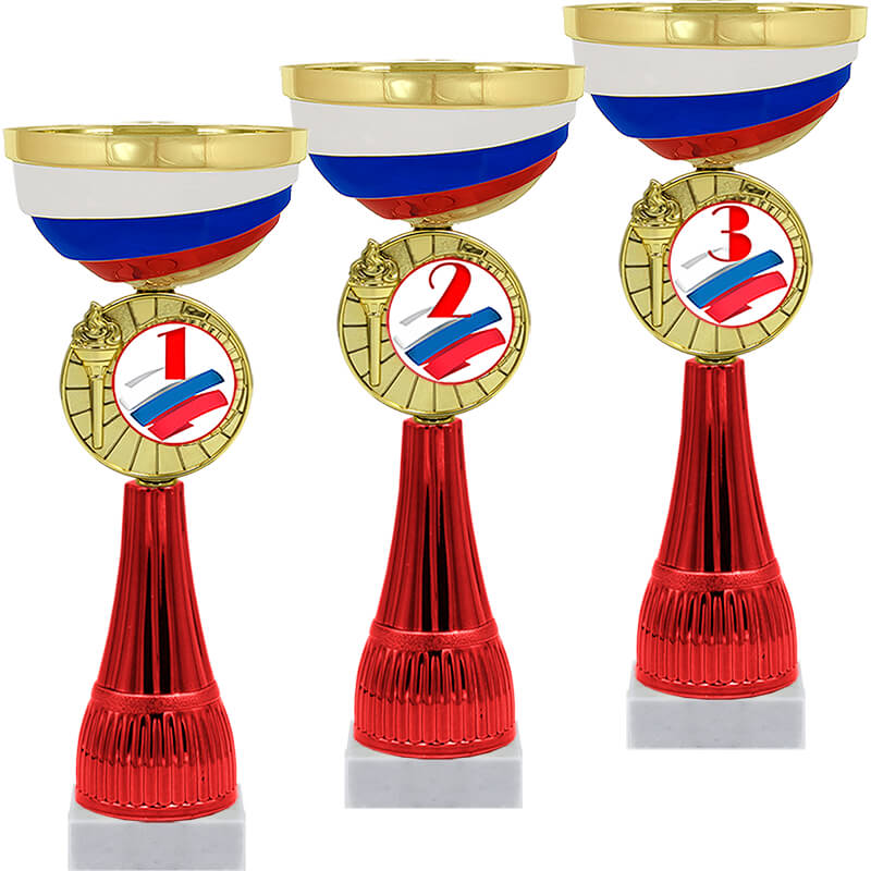Кубок Чапай 3 место (красный)