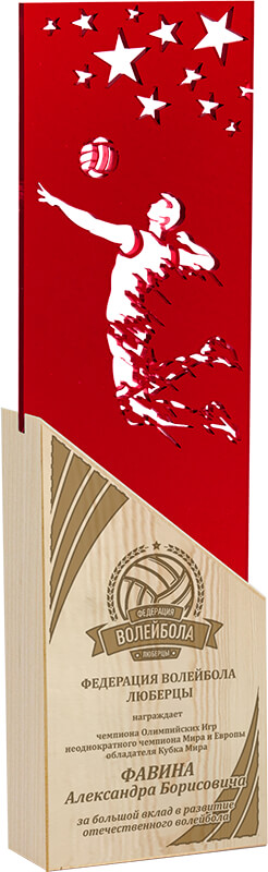Акриловая награда с лазерной гравировкой волейбол
