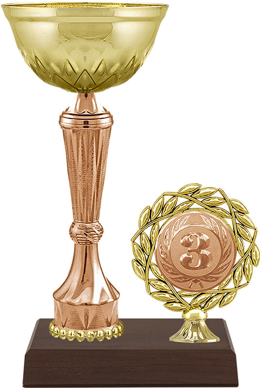 Кубок Бланш 3 место