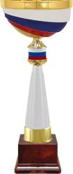 Кубок Россия Кубок Россия