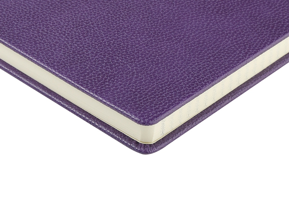 Ежедневник А5 датированный Megapolis Loft на 2026, фиолетовый