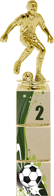 Награда Футбол 2 место