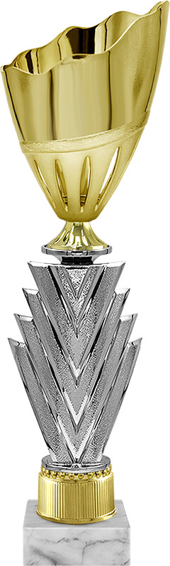 Кубок Сильва