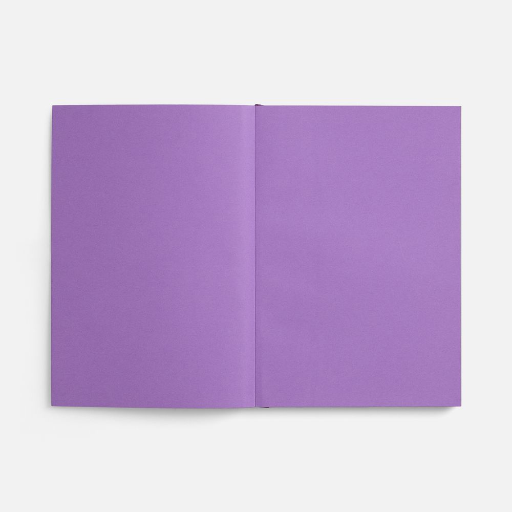 Ежедневник Flat, недатированный, фиолетовый, ver.2 Ежедневник Flat, недатированный, фиолетовый, ver.2