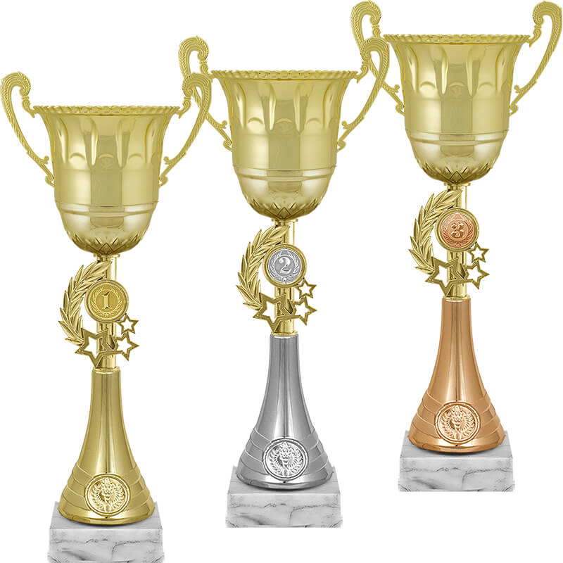 Кубок Ойла 3 место