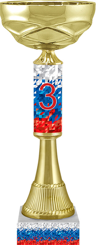 Кубок Гранд 3 место