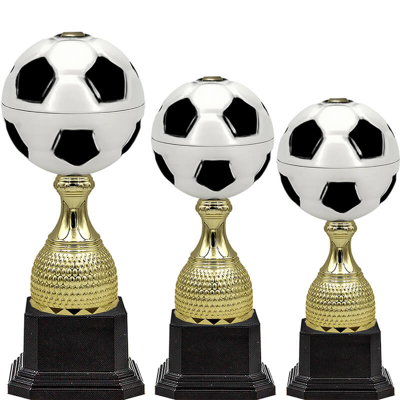 Кубок Гвен (футбол)