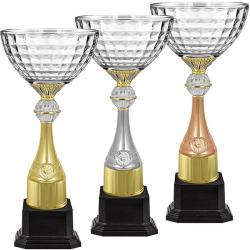 Кубок Ньютон Кубок Ньютон