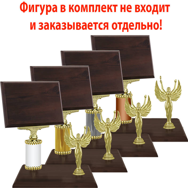 Награда (под бронзу)