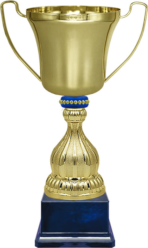 Кубок Миклухо