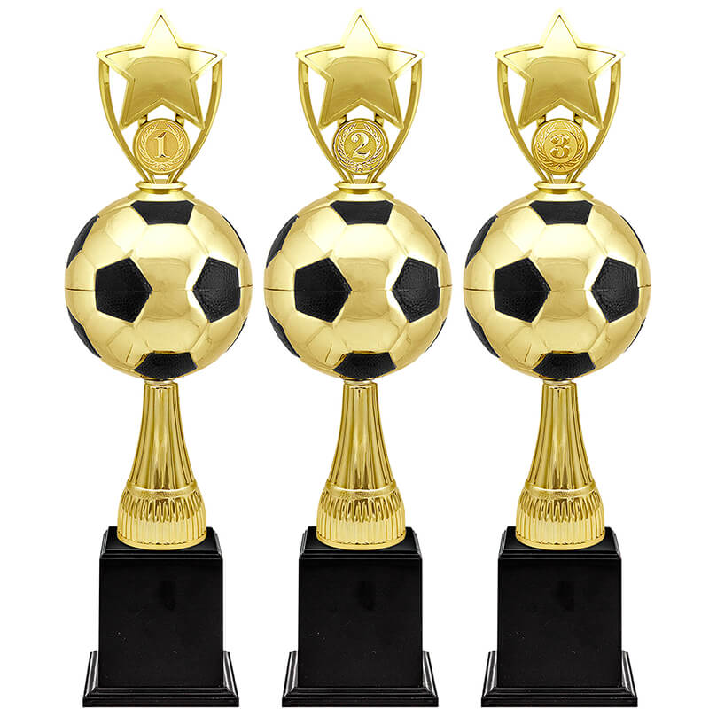 Награда-кубок Рауль 3 место