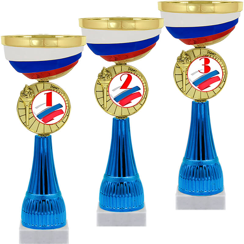 Кубок Чапай 1 место (синий)