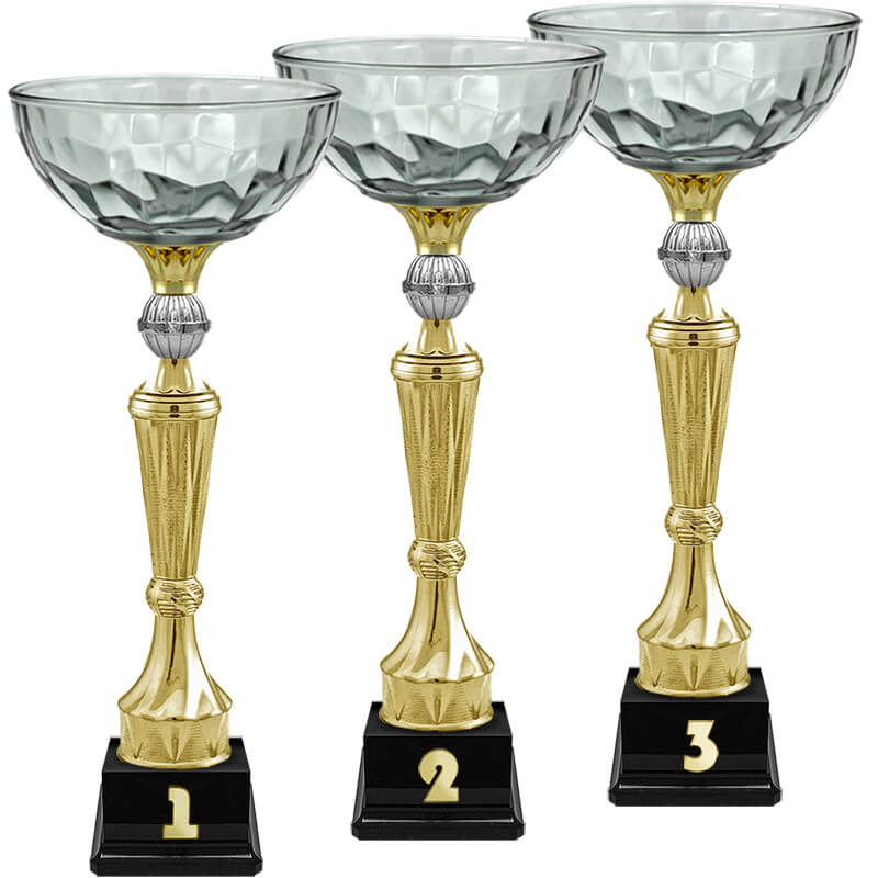 Кубок Нуар 3 место