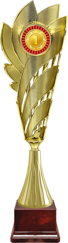 Кубок Лолла 1 место