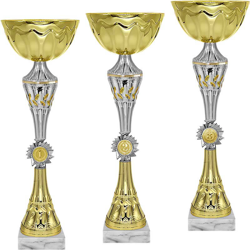 Кубок 3 место