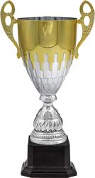 Кубок Флинт