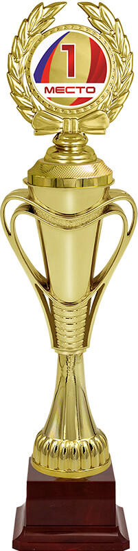Награда 1 место