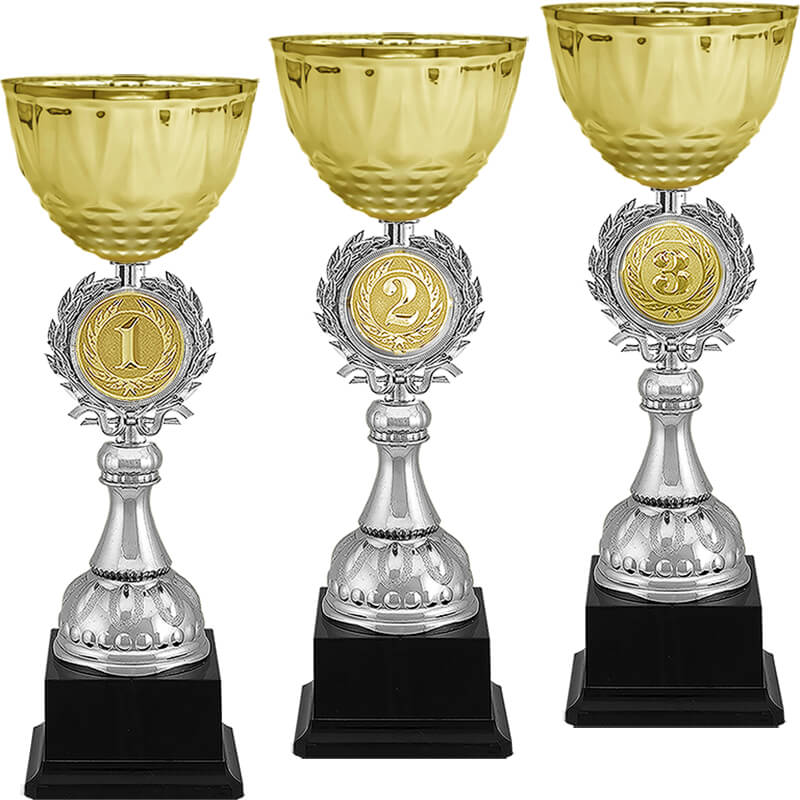 Кубок Чарлик1 место