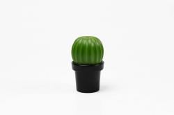 МЕЛЬНИЦА ДЛЯ СПЕЦИЙ Tasty Cactus