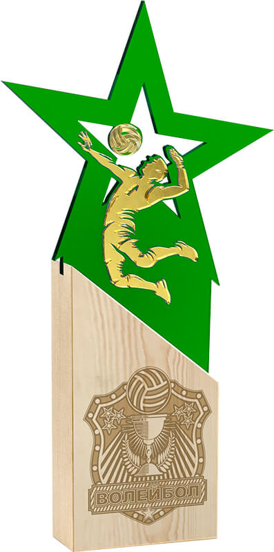 Награда волейбол Награда волейбол