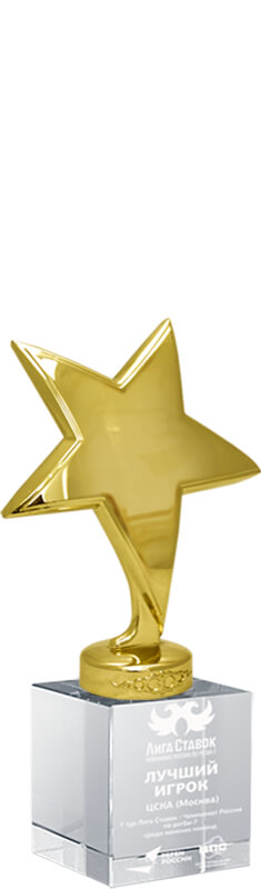 Награда Звезды с гравировкой