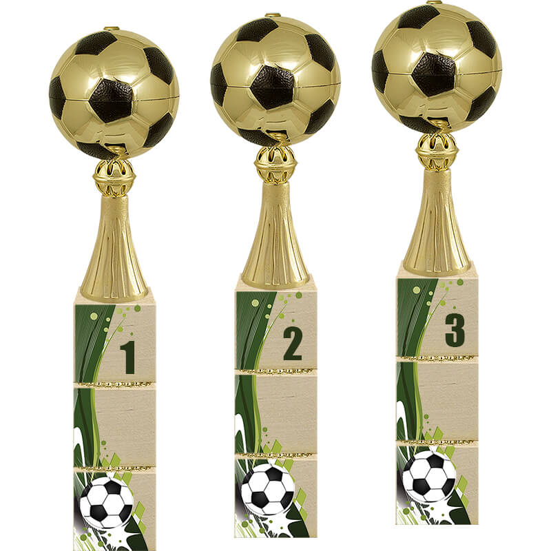 Кубок Вингер 1 место