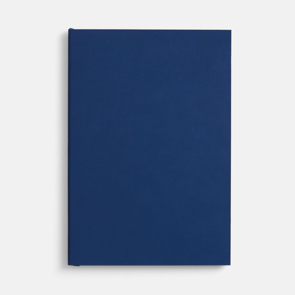 Ежедневник Flat, недатированный, синий, ver.2 Ежедневник Flat, недатированный, синий, ver.2