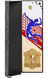 Акриловая награда волейбол